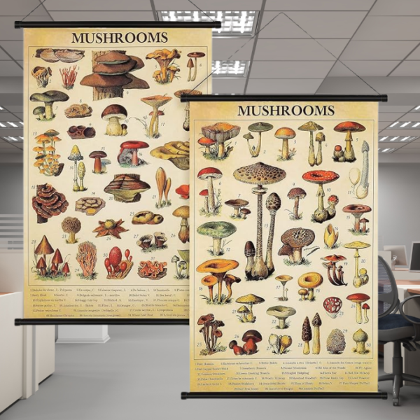 vintage-mushroom-poster