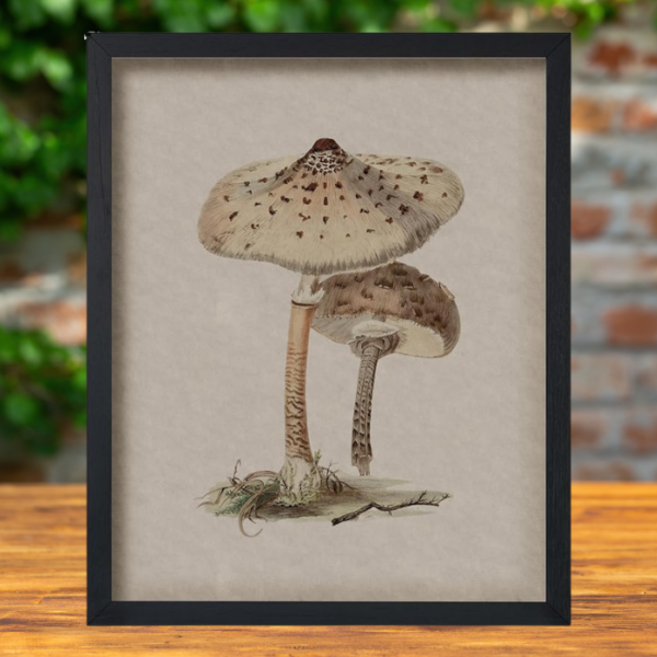 retro-mushroom-poster-print