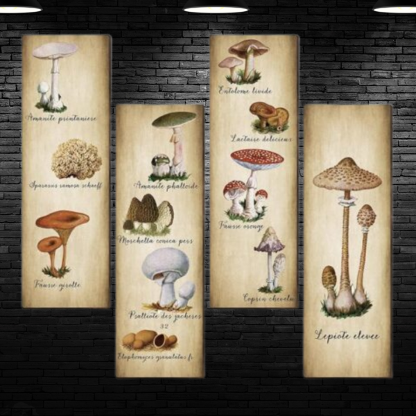 4-piece-mushroom-wall-decor-set