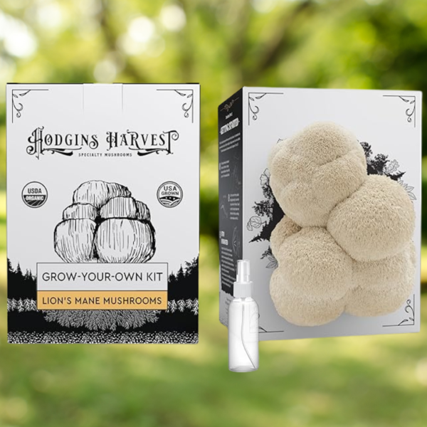 lions-mane-growing-kit